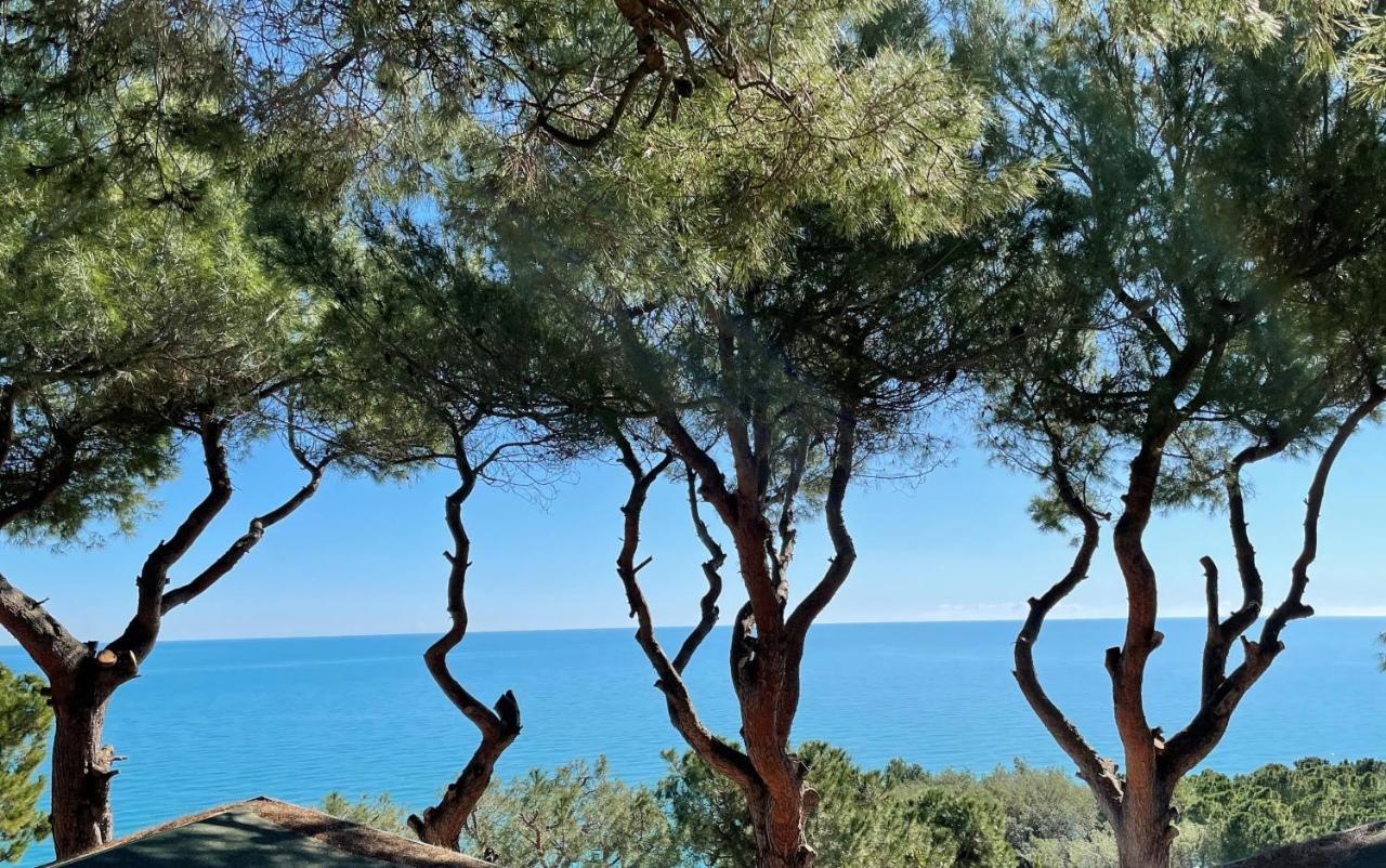 Camping Village Internazionale Sirolo Dış mekan fotoğraf